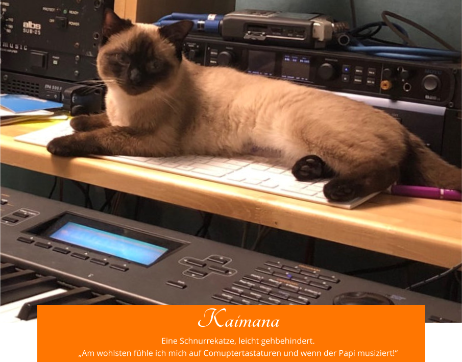 Kaimana Eine Schnurrekatze, leicht gehbehindert. „Am wohlsten fühle ich mich auf Comuptertastaturen und wenn der Papi musiziert!“