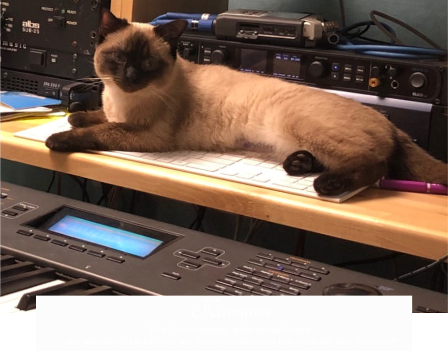 Kaimana Eine Schnurrekatze, leicht gehbehindert. „Am wohlsten fühle ich mich auf Comuptertastaturen und wenn der Papi musiziert!“