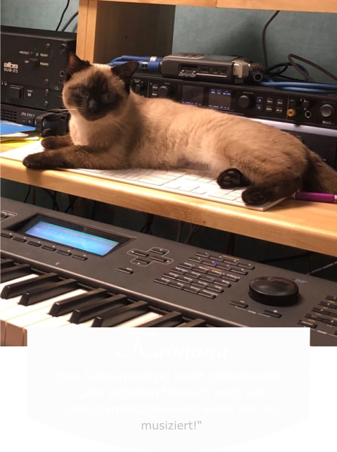 Kaimana Eine Schnurrekatze, leicht gehbehindert. „Am wohlsten fühle ich mich auf Comuptertastaturen und wenn der Papi musiziert!“